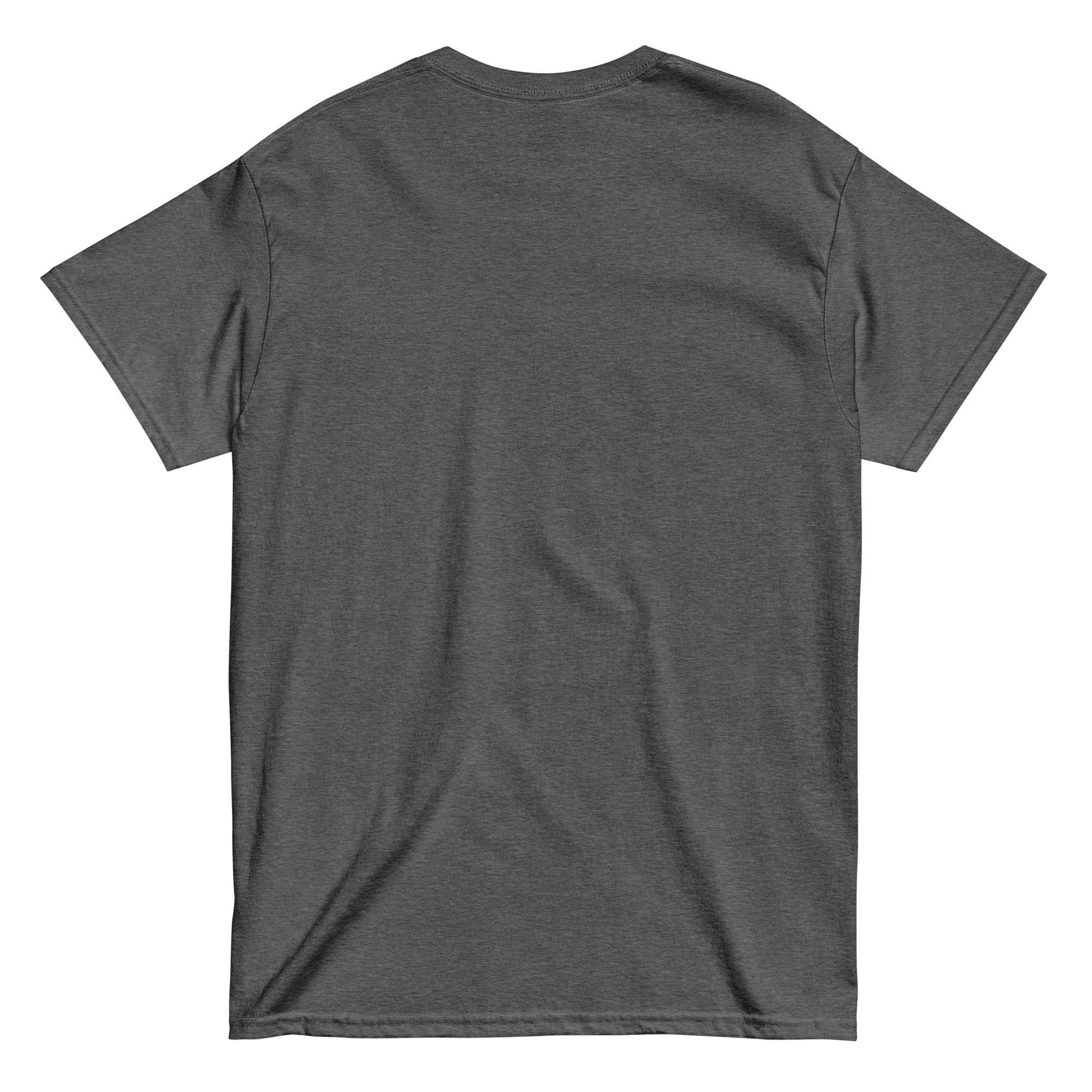 Unisex classic tee - LASTICH
