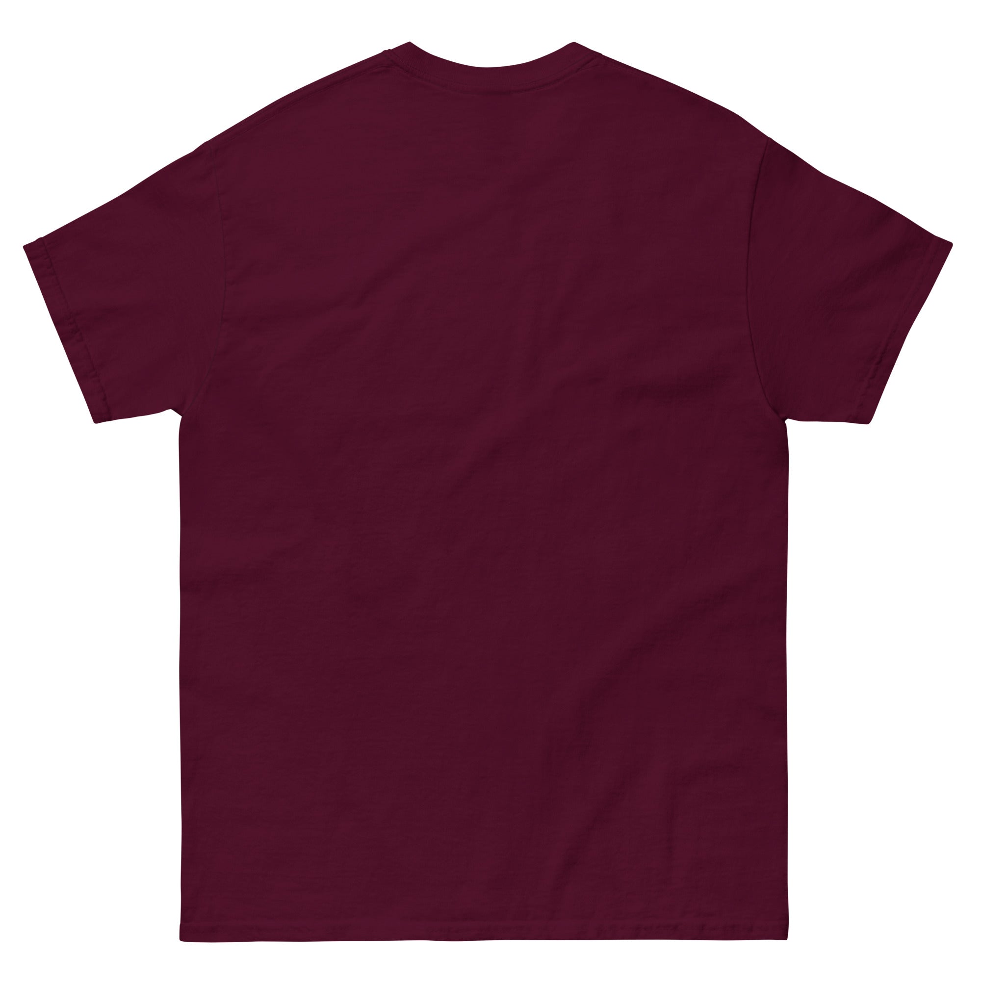 Lets Go Unisex classic tee - LASTICH